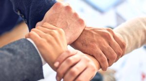 partners_organisations
